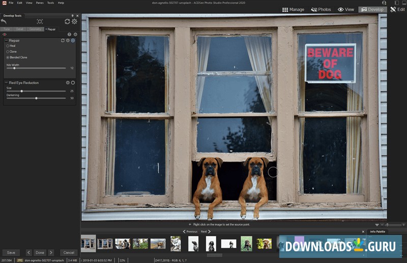 acdsee free download windows 10